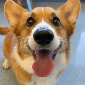 Meet your Posher, Ayu